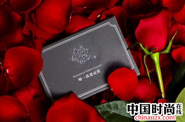 roseonlyŮ(ji)Ʒ ҊCV