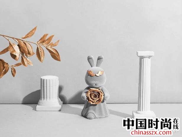 roseonlyŮ(ji)Ʒ ҊCV