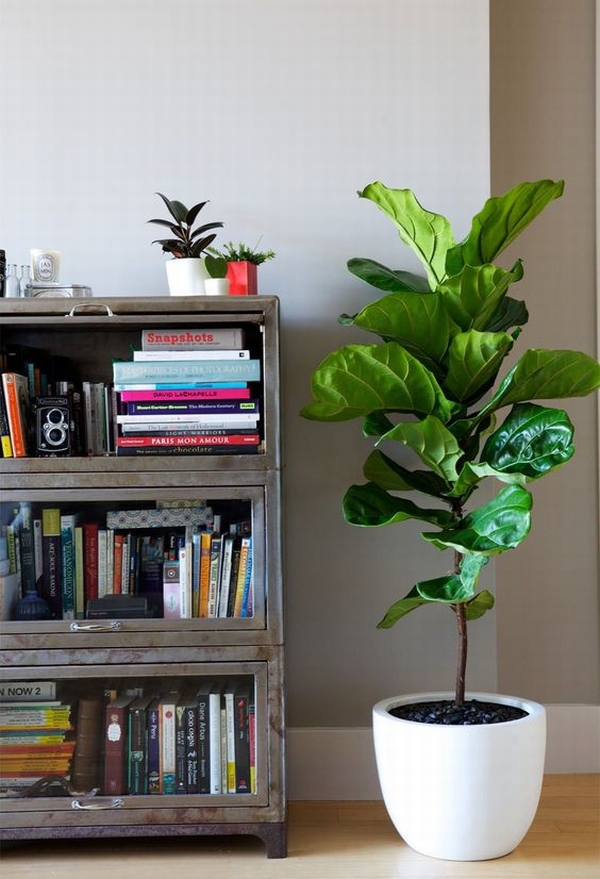 þGֲȻܰ  DƬԴleedyinteriors. com