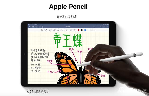 iPad Air֌P