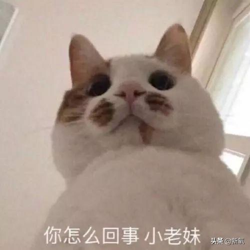 ͗ĕϣˡ߀҂ǳవļ(ji)