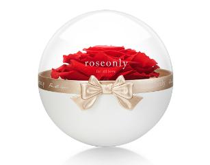roseonlyyˇ꿏YҊCļs