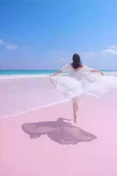 ǲǸFΣǸF
