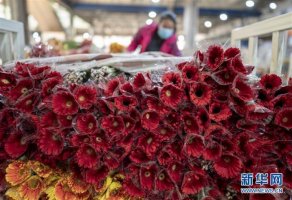 愛(ài)心助農(nóng)，花加FLOWERPLUS的暖心之策