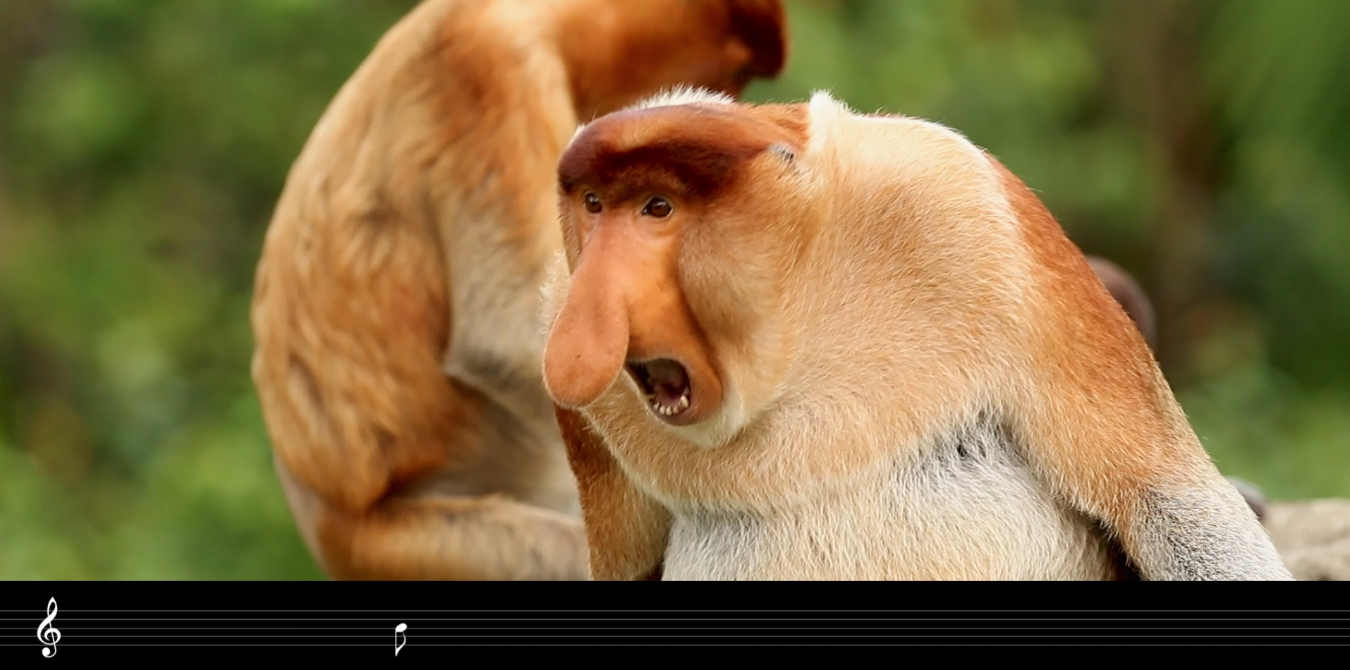 DƬ4.png