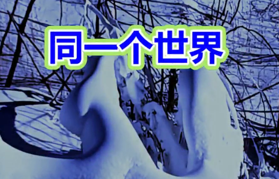 Wͬһ硷