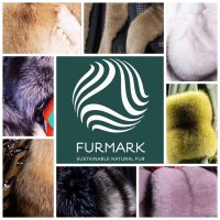 <b>Furmark;2023SSϺrbܸ߶ƷMOODBOXζƤr</b>