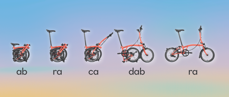 DƬ 1.png