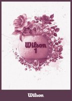 ۾`\(yn)(dng)ƷWilsonоW(wng)ᳱ