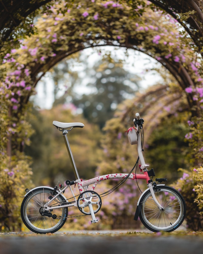 BROMPTON Ƴ̫؅^(q)޶ѻ `ŌTE2.jpg